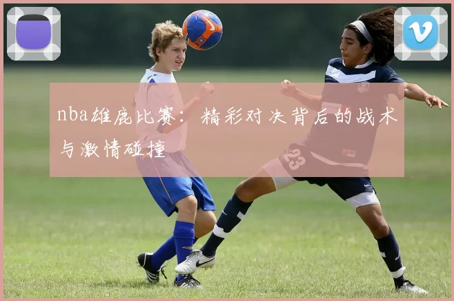 nba雄鹿比赛:精彩对决背后的战术与激情碰撞