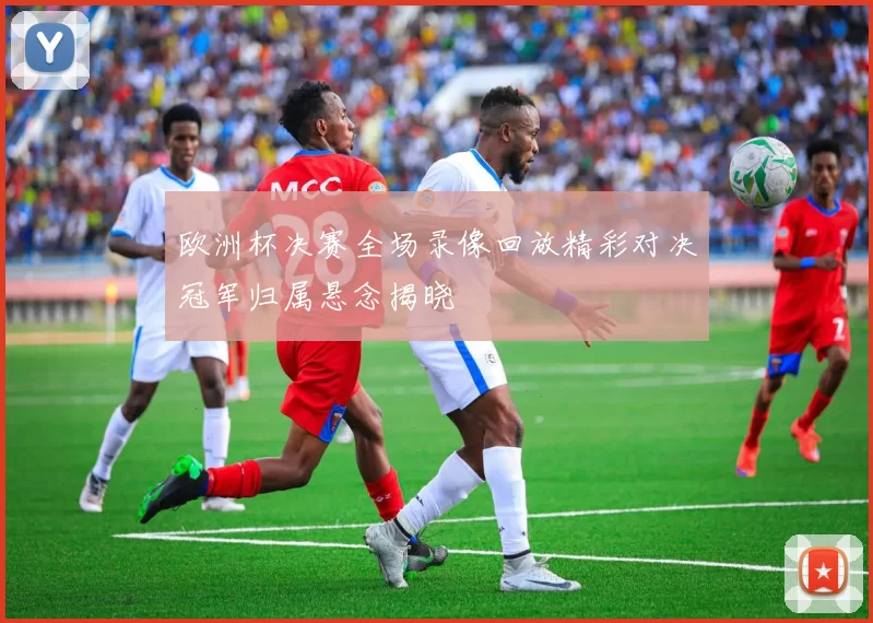 欧洲杯决赛全场录像回放精彩对决冠军归属悬念揭晓